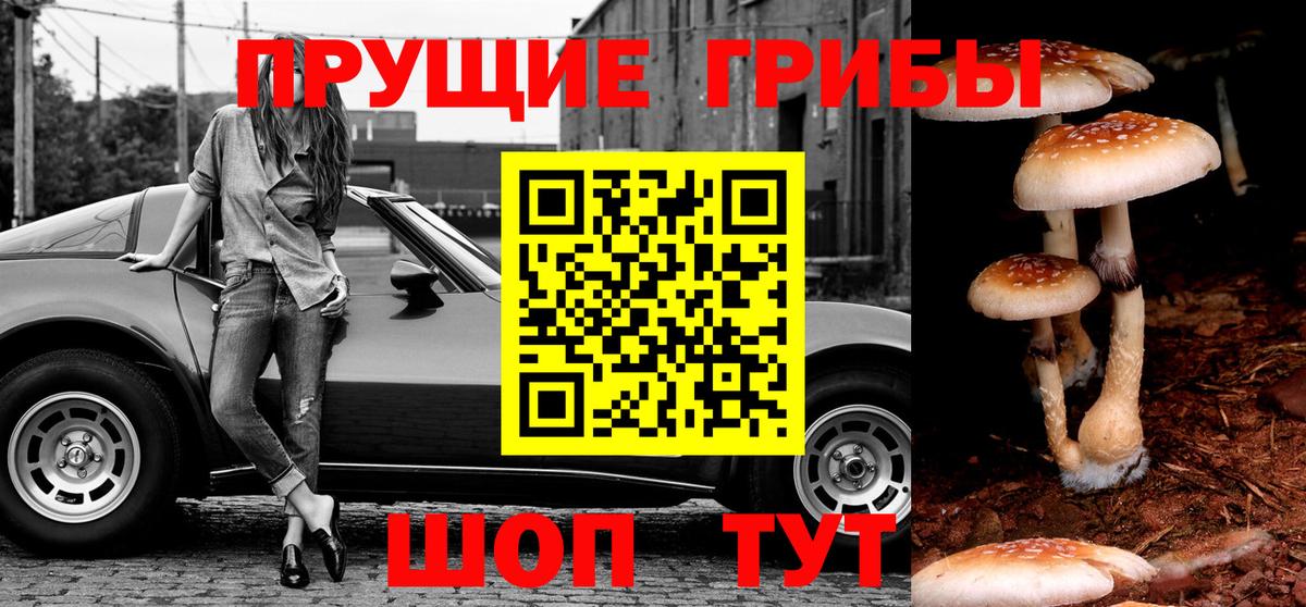 Иваново  Галлюциногенные грибы мухоморы  Вход с VPN 